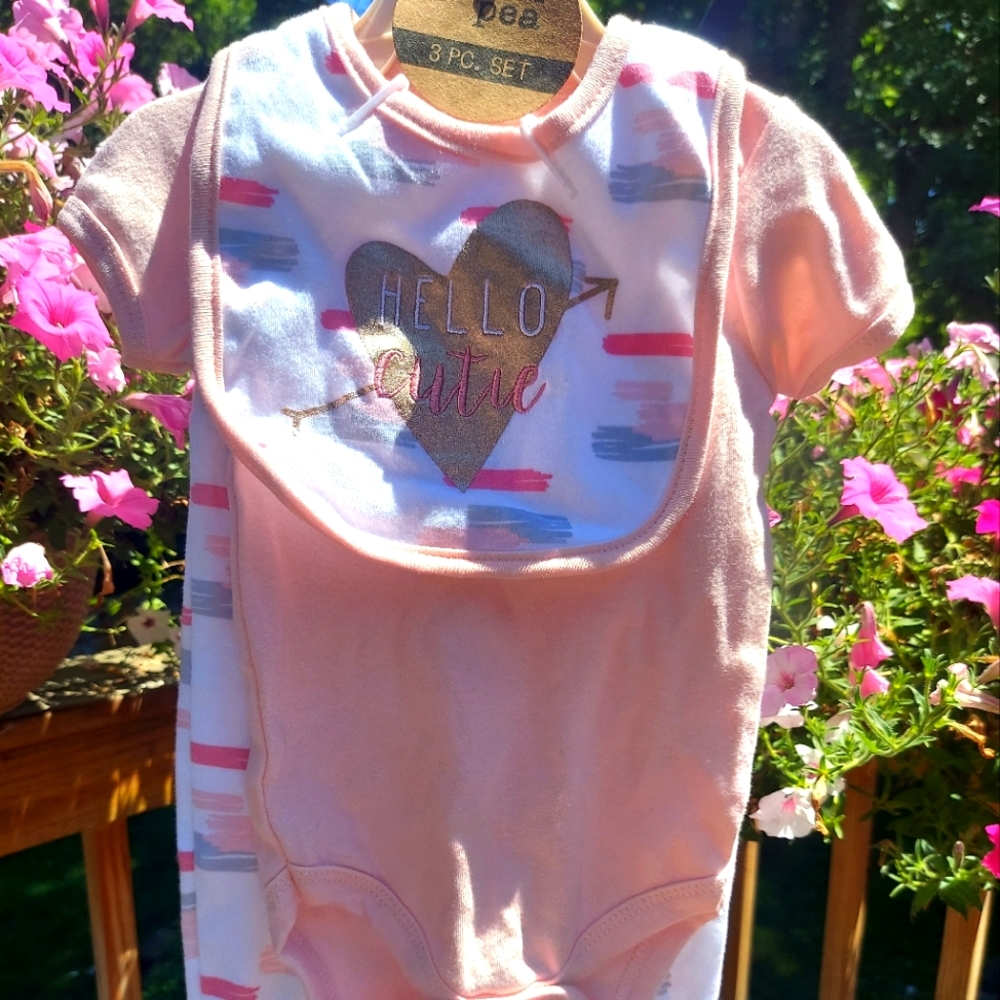 Chick Pea 3 piece Onesie Pant set with bib. Size 3-6 Months. NWT